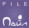 Pile Holding Logotype